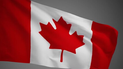 Animated collection of waving Canadian flags showcasing national pride and