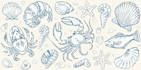 An artistic collection of marine life shells crabs fish and other sea creatures