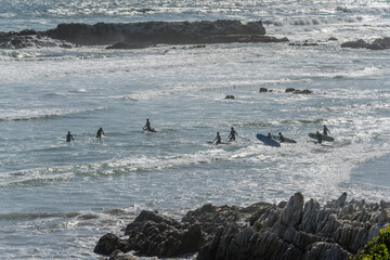 backlight on surfers facing waves among sea cliffs at Voelklip Beach cove, Hermanus, South Africa