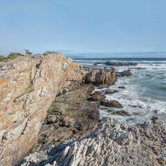 Fototapeta premium bench on top of perpendicular cliffs at Platbank Beach cove, Hermanus, South Africa