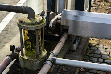 Water filtration system with visible algae growth in a park setting