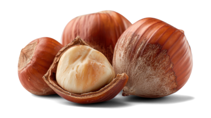 hazelnuts on a white background
