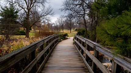Obraz premium Wooden bridge spans a small creek in a park with trees, grass, and cloudy sky
