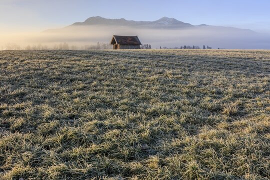 Hut, wooden hut, morning light, sunny, ripe, hoarfrost, cold, winter, fog, mountains, Loisach-Lake Kochel-Moore, view of Herzogstand, Heimgarten, Alpine foothills, Bavaria, Germany