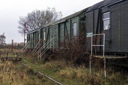 Old ice railway wagons at the former Bresewitz station, near Zingst, Mecklenburg-Western Pomerania, Germany
