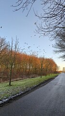 Fototapeta premium Winter sunset over frozen corn fields on a scenic farm
