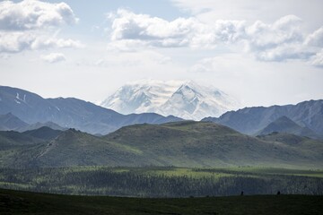 Tundra And Glaciated Peak Denali