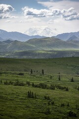 Tundra And Glaciated Peak Denali