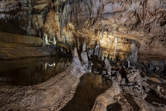 Stalactites and stalagmites, rock formations in a stalactite cave with water basin, Grotta del Fico, Gulf of Orosei, Baunei, Sardinia, Italy