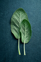 Fresh sage leaves on dark stone background