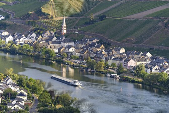 Zell an der Moselle, Merl Mosel district, Cochem-Zell district, Rhineland-Palatinate, Germany