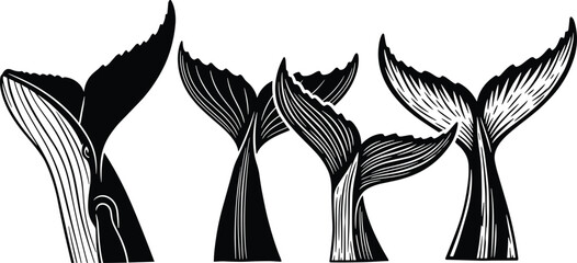 Abstract whale tail silhouettes vector illustration, marine animal flukes rising from ocean water, black and white line art design for nautical, wildlife, and ocean conservation themes © MstNur
