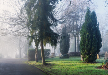 Obraz premium Starker Nebel und Dunst im Park Friedhof mit Weg