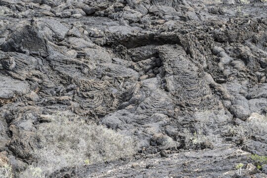 Lava structures, Costa Teguise, Lanzarote, Canary Islands, Spain