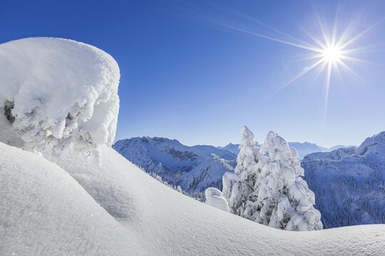 Winter landscape and snow-covered trees in front of mountains, winter, Sonnenstern, Tegelberg, Ammergau Alps, Upper Bavaria, Bavaria, Germany