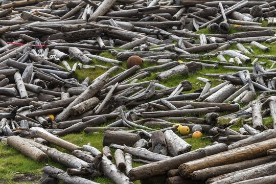 Driftwood, flotsam, Reykjarfj&ouml;r&eth;ur, Strandir, &Aacute;rnes, Westfjords, Iceland