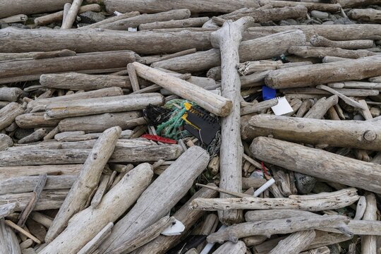 Driftwood and plastic waste, Drangsnes, Strandir, &Aacute;rnes, Westfjords, Iceland