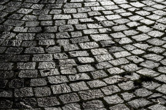 Paving stones after rain shower, Stuttgart, Baden-W&uuml;rttemberg