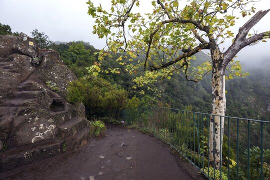 Viewpoint Miradouro dos Balcoes Ribeiro Frio, Madeira, Portugal