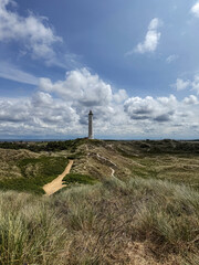 tall coastal lighthouse at end of sandy path winding through grassy dunes and wildflowers. beneath dramatic sky with billowing clouds, guidance, resilience, and seaside tranquility.