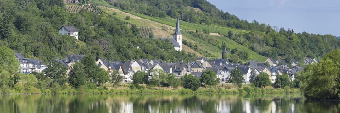 The wine village of Briedel on the Moselle, Cochem-Zell district, Rhineland-Palatinate, Germany
