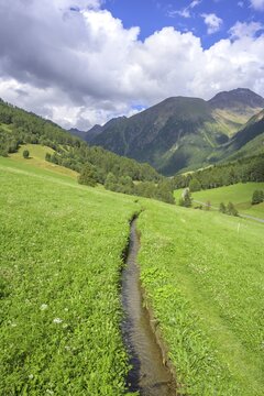 Ackerwaal, Matschertal, Mals, South Tyrol, Italy