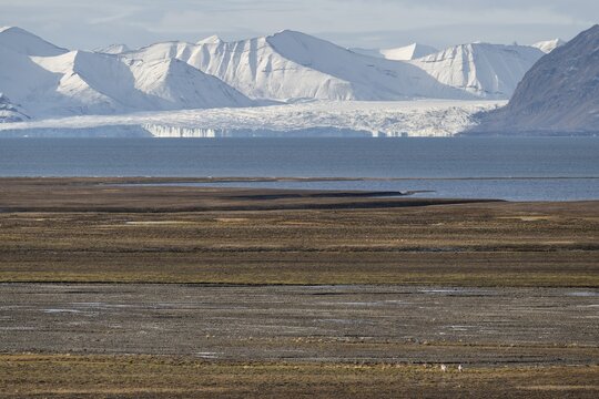 Glaciers, mountains and tundra, Kapp Wijk, Spitsbergen, Svalbard, Norway