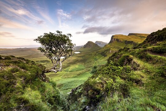 View of rocky landscape Quiraing, Trotternish Ridge, Highlands, Isle of Skye, Inner Hebrides, Scotland, United Kingdom