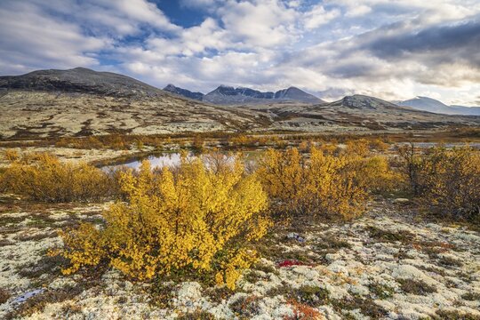Autumn landscape in Rondane National Park, mountains H&oslash;gronden, Midtronden and Digerronden D&oslash;r&aring;len, D&oslash;r&aring;lseter, Norway