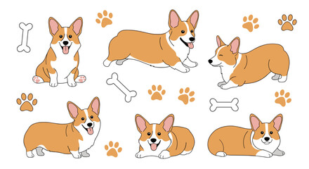 Fototapeta premium Playful corgi dog character set features multiple poses including sitting running and lying down with paw prints and bones.