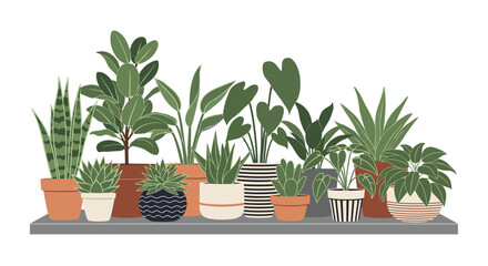 Fototapeta premium Diverse collection of indoor green plants in various ceramic and terracotta pots arranged on a shelf against a white background.
