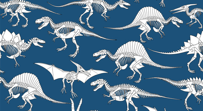 Scientific seamless pattern illustrates white dinosaur skeletons like spinosaurus and pterodactyl on a dark blue background.