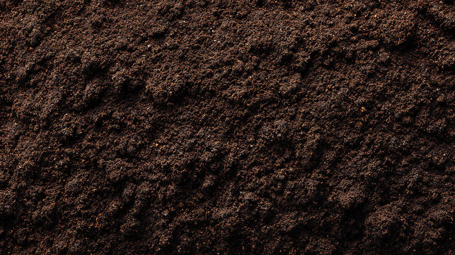 Close-up Texture of Dark Fertile Soil dirt earth
