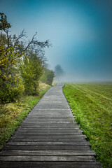 Nebelstimmung im Schwarzem Moor in der Bayrischen Rh&ouml;n