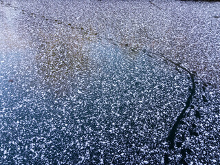 Otter tracks in snow on a frozen canal