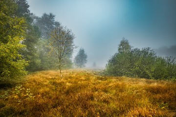 Nebelstimmung im Schwarzem Moor in der Bayrischen Rh&ouml;n