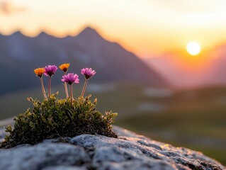 Wildflowers in foreground with vibrant sunset over distant peaks, springtime energy