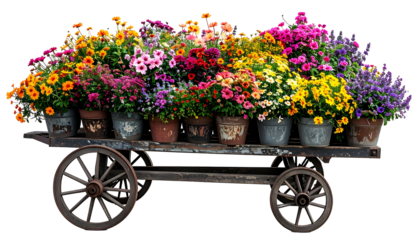A vintage wooden cart overflowing with a vibrant array of potted flowers of various colors