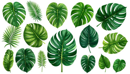 Collection of various digitally painted tropical leaves with diverse shapes and green hues on black
