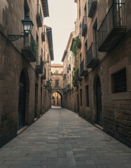 Fototapeta premium Aesthetic Perspective of an Ancient Urban Passage with Stone Buildings and Arched Entrance