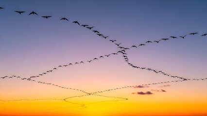 Silhouetted birds fly in formation across a gradient sky at dusk forming dynamic patterns evoking