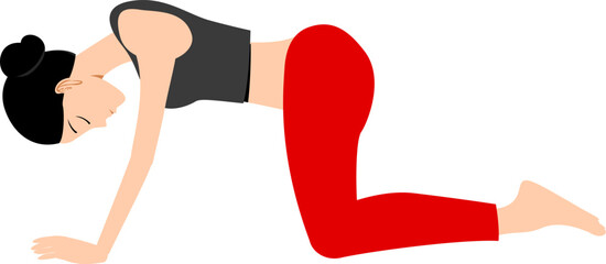 Woman in yoga pose performing a cat cow stretch on a white background flat vector illustration for fitness and wellness