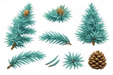 Fir tree branches, needles, and pinecones for creating holiday, winter, or nature-themed designs on a transparent background