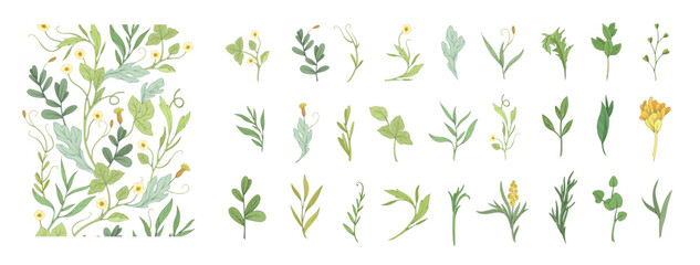Floral set with colorful wild flowers and elegant branch. Botanical foliage for wedding invitation or wall art. Vector illustration