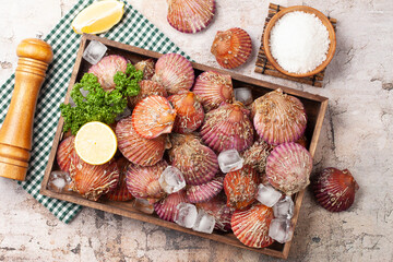 Fototapeta premium 가리비는 가리빗과와 큰집가리빗과의 조개를 통틀어 이르는 말. Scallop is a general term for shellfish of the scallop family and the scallop family.