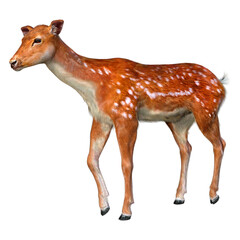 3D Rendering Deer on White