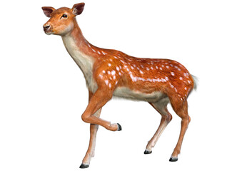 3D Rendering Deer on White