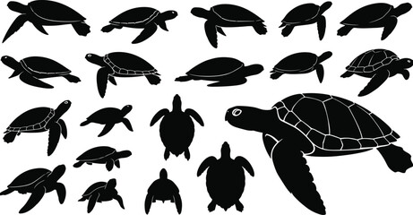 Set of Fifteen Sea Turtle Silhouettes in Different Swimming Poses and Sizes, Marine Wildlife Vector Illustration for Conservation and Ocean Life Projects