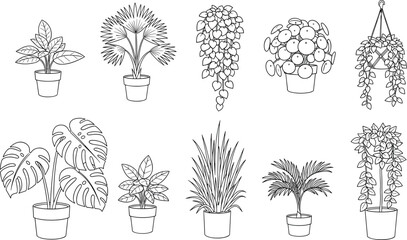 Set of Potted House Plants Line Art Vector Illustration, Including Monstera, Palm, and Hanging Ivy for Interior Design, Gardening, and Home Decor Concepts © miss