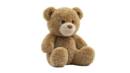 Obraz premium Cute fluffy teddy bear sitting